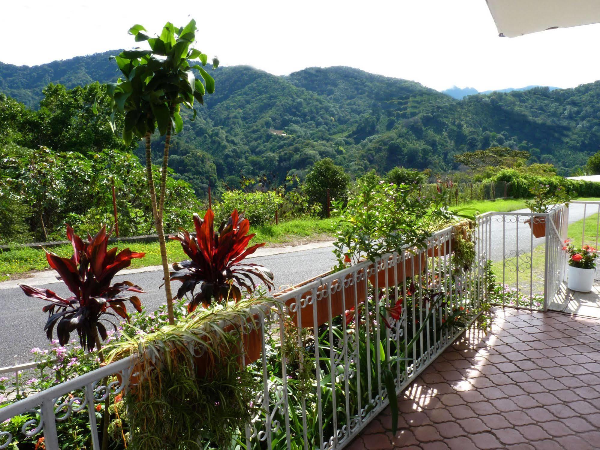 Autana Bed & Breakfast 下博克特 外观 照片